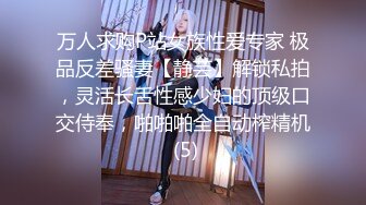 新晋美女主播，北京极品车模下海，【醉舞烟花赏花容】户外露出，车震