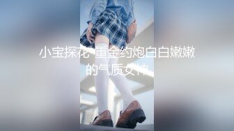 小宝探花-重金约炮白白嫩嫩的气质女神