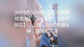 [MP4/532MB]【2023高清修复版】2021.1.9，【文轩探花】，上海，3000车模女神，逼逼看得清