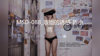 MSD-088_表姐的诱惑-陈小雨