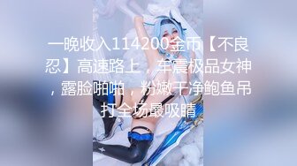 一晚收入114200金币【不良忍】高速路上，车震极品女神，露脸啪啪，粉嫩干净鲍鱼吊打全场最吸睛