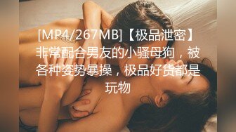 [MP4/267MB]【极品泄密】非常配合男友的小骚母狗，被各种姿势暴操，极品好货都是玩物