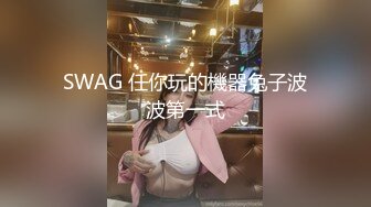 SWAG 任你玩的機器兔子波波第一式