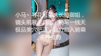 小马丶寻花短裙大长腿御姐，镜头前展示口活，特写一线天极品美穴肥逼，站立后入骑乘多种姿势