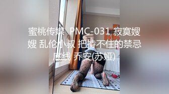 蜜桃传媒  PMC-031 寂寞嫂嫂 乱伦小叔 把持不住的禁忌底线 乔安(苏娅)