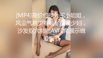 [MP4]高价约操外围小姐姐，风尘气息少看着像良家少妇，沙发抠穴啪啪AV视角展示做爱细节