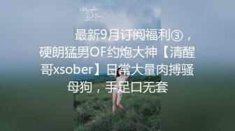 ⚫️⚫️最新9月订阅福利③，硬朗猛男OF约炮大神【清醒哥xsober】日常大量肉搏骚母狗，手足口无套