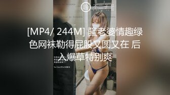 [MP4/ 244M] 骚老婆情趣绿色网袜勒得屁股又圆又在 后入爆草特别爽