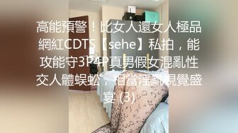 高能預警！比女人還女人極品網紅CDTS【sehe】私拍，能攻能守3P4P真男假女混亂性交人體蜈蚣，相當淫亂視覺盛宴 (3)