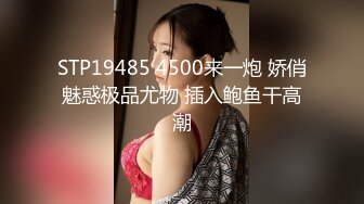 [原創錄制](no_sex)20240117_AI女友はな