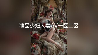 精品少妇人妻AV一区二区