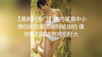 豪乳女神『Diary』淫乱实录 豪乳女友幻身狐尾女仆用蜜穴尽心伺候单男