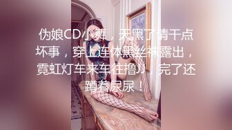 伪娘CD小舞，天黑了请干点坏事，穿上连体黑丝袜露出，霓虹灯车来车往撸JJ，完了还蹲着尿尿！