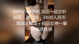 [MP4/ 657M] 汤臣一品文轩探花，第二场，3800人民币，高端车模场，极品女神一颦一笑魅惑性感