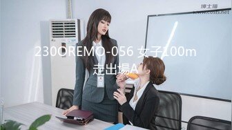 [2DF2]【极品探花李寻欢】约操极品超女神175车模女仆装 [MP4/137MB][BT种子]