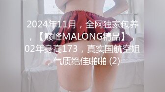 2024年11月，全网独家包养，【巅峰MALONG精品】，02年身高173，真实国航空姐，气质绝佳啪啪 (2)