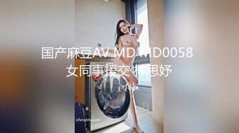 国产麻豆AV MD MD0058 女同事援交 林思妤