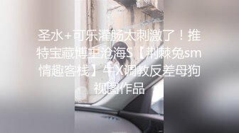 寂寞人妻勾引上门维修工 我感觉我还有一个下水道需要维修 老是流水.MP4