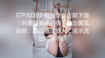 [MP4/ 499M] 酒店偷拍新台解密 胖哥圣诞节给情人买了不少礼物开房穿上情趣黑丝战衣啪啪