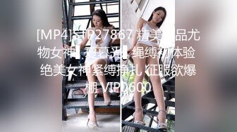 [MP4]STP27867 精美极品尤物女神▌夏暮光▌绳缚初体验 绝美女神紧缚挣扎 征服欲爆棚 VIP0600