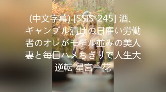 (中文字幕) [SSIS-245] 酒、ギャンブル漬けの日雇い労働者のオレがモデル並みの美人妻と毎日ハメちぎりで人生大逆転 星宮一花