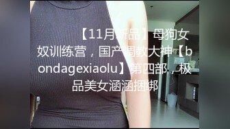 [MP4/559MB]麻豆傳媒 這個面試有點硬 MDHG0010 麻豆活潑可愛擔當 艾鯉