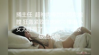 XJX-0067 白鹿 赌债肉偿，体验双倍快乐 香蕉视频