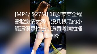 0452黑龙江齐齐哈尔，手势验证