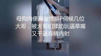 情趣房狠艹小母狗，臀浪翻飞