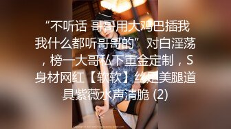 肥臀美鲍巨乳 淘宝内衣模特 NINA 最新抖奶自慰2024年最新合集（四） (1)