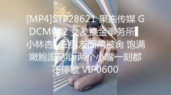 【JaneFishers】-完美胸型的白人主播，露脸自慰【33V】 (25)