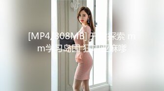 女友的大胸